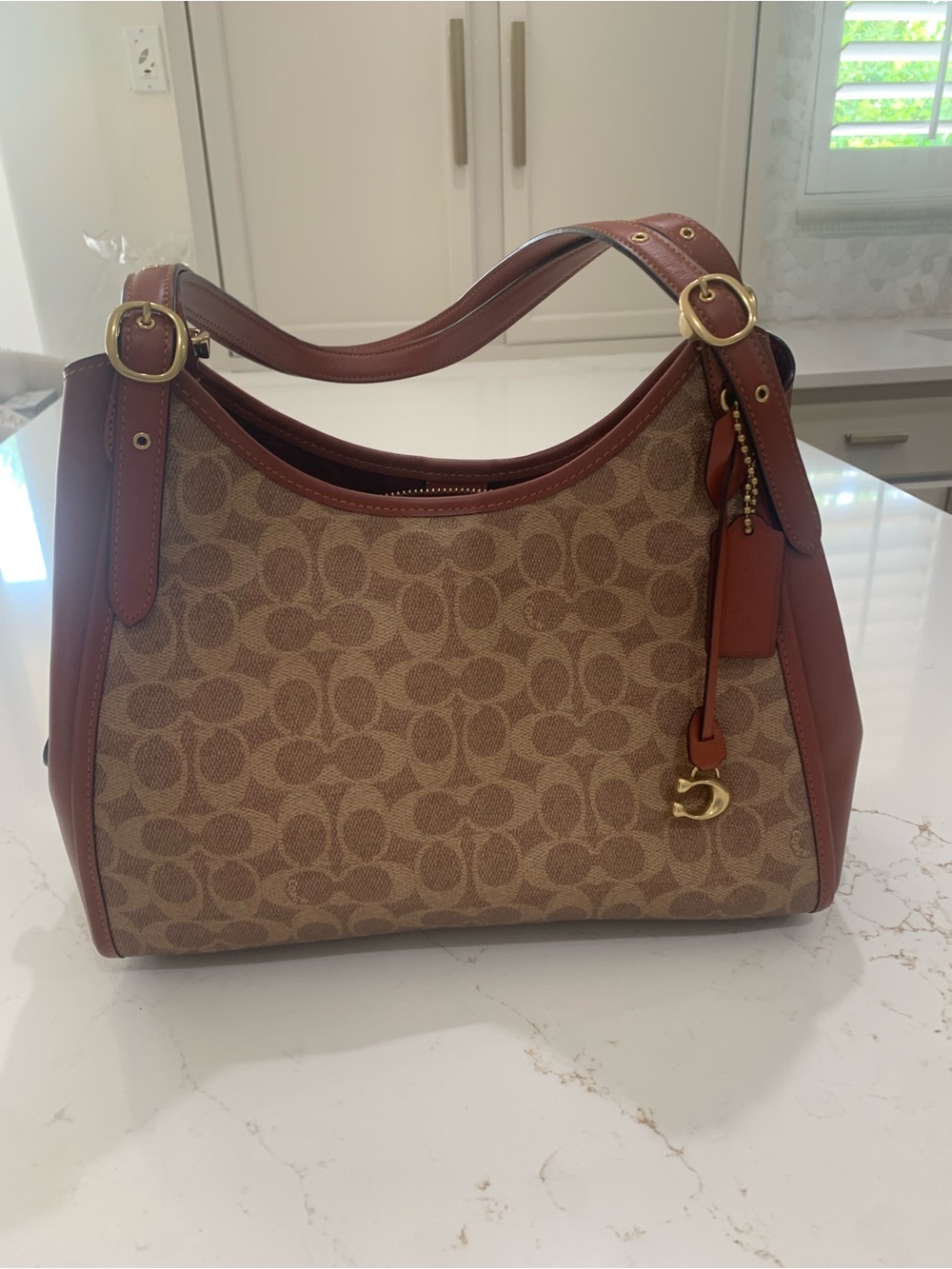 Coach Signature coated canvas and refined calf leather Bag